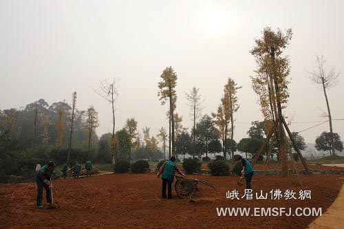 峨眉山大佛禅院落成庆典暨开光法会准备工作有条不紊