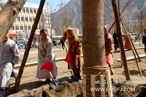 峨眉山-峨眉山佛教协会法师到汶川考察、学习灾后重建工作