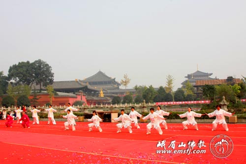 峨眉山-2010年四川省健身气功比赛在峨眉山大佛禅院隆重开幕