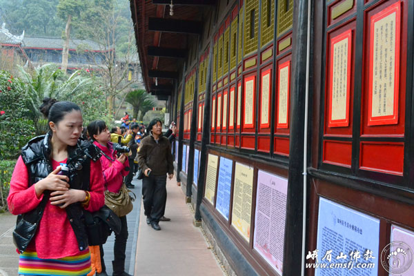 佛教-报国寺佛教文化墙如此殊胜引无数游客竞围观