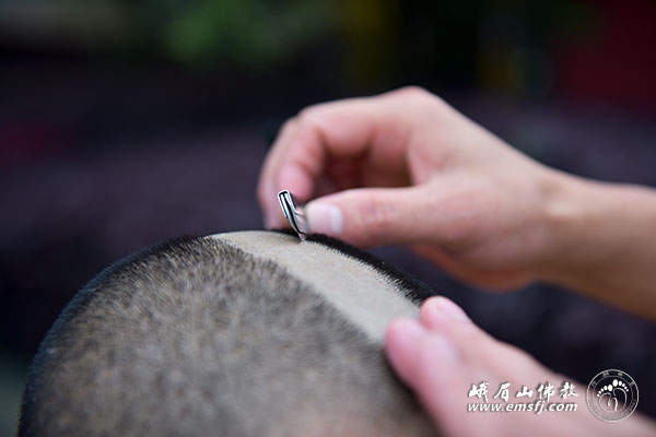 省佛协第十九次传戒法会第九日:呈罪称量习仪过书剃头沐浴下沙弥启夜礼通宵 省佛协第十九次传戒法会第九日:呈罪称量习仪过书剃头沐浴下沙弥启夜礼通宵