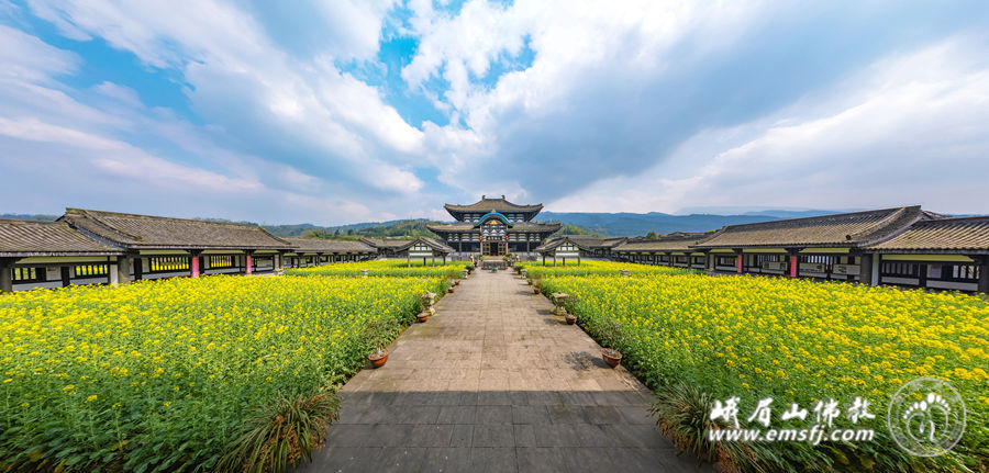 101_0394 全景.jpg