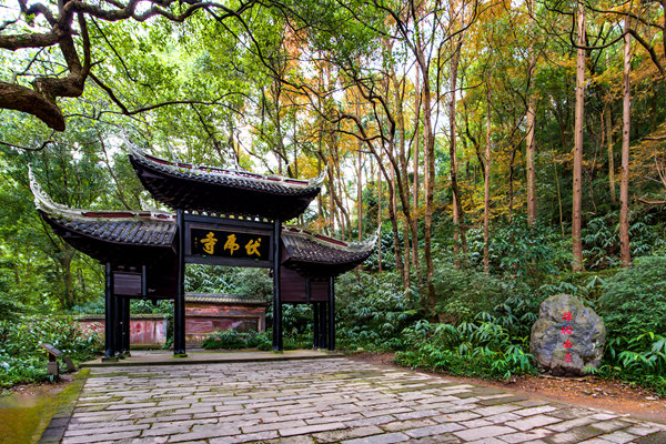 MY0_8863 全景.jpg