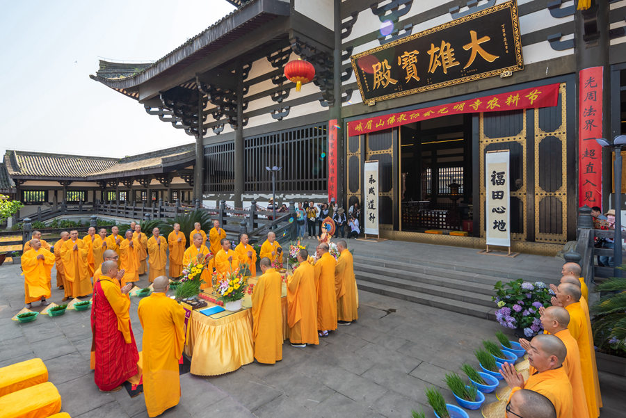 峨眉山-农禅并重 峨眉山僧众员工赴光明寺出坡插秧