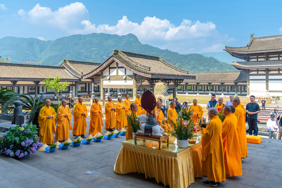 峨眉山-农禅并重 峨眉山僧众员工赴光明寺出坡插秧