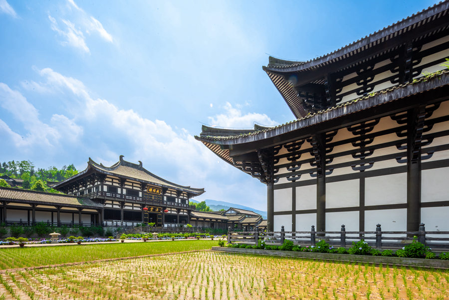 峨眉山-农禅并重 峨眉山僧众员工赴光明寺出坡插秧