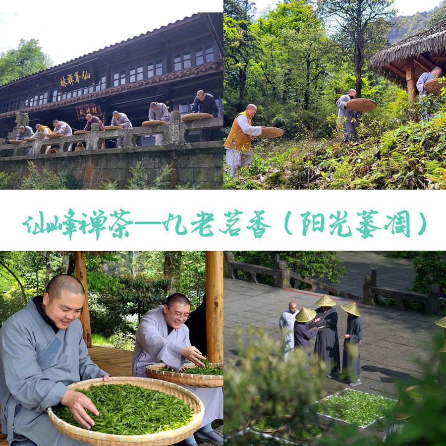 微信图片_20240529094542.jpg
