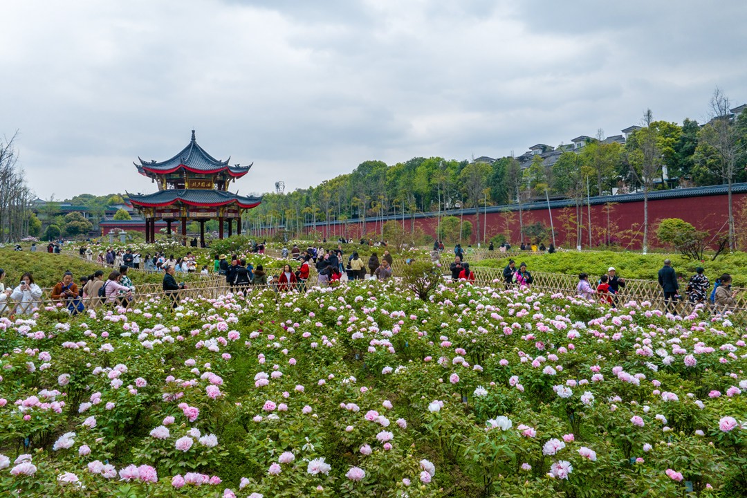 DJI_20250329122630_0054_D.jpg