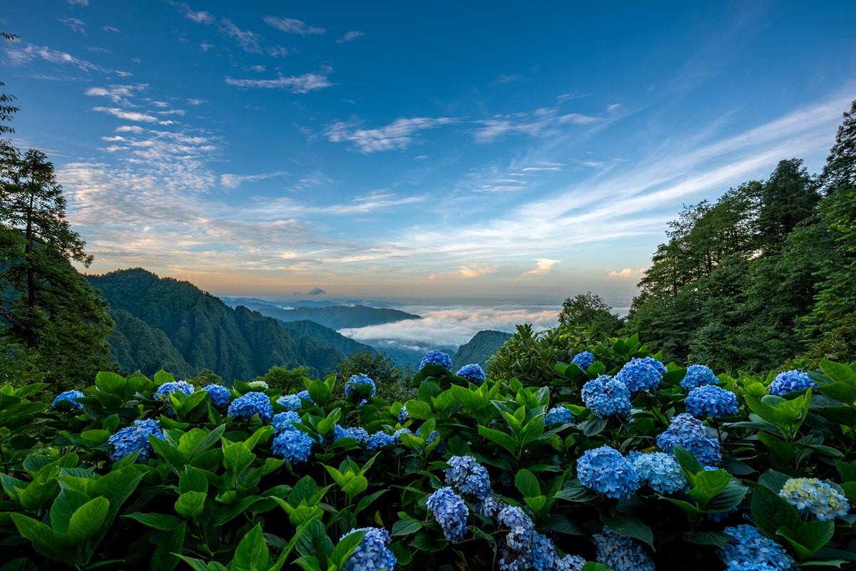 _MY06376-HDR.jpg