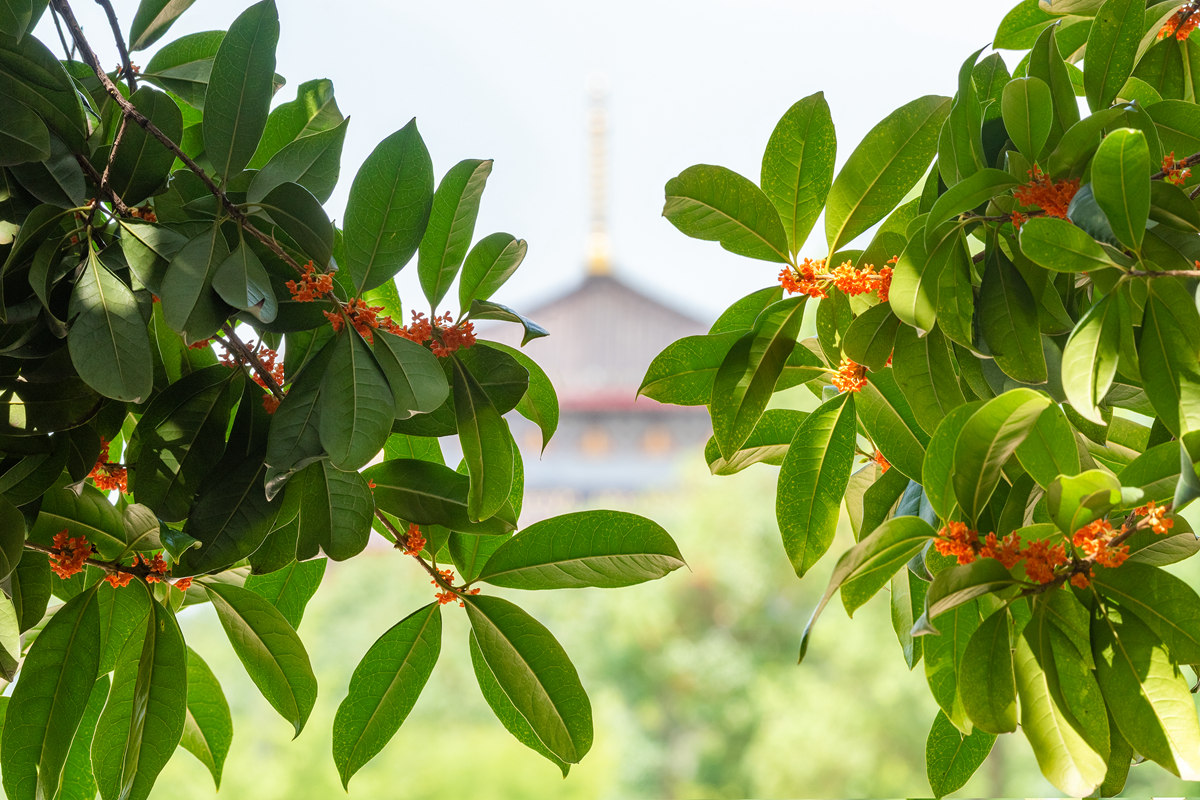 _MY02057-编辑.jpg