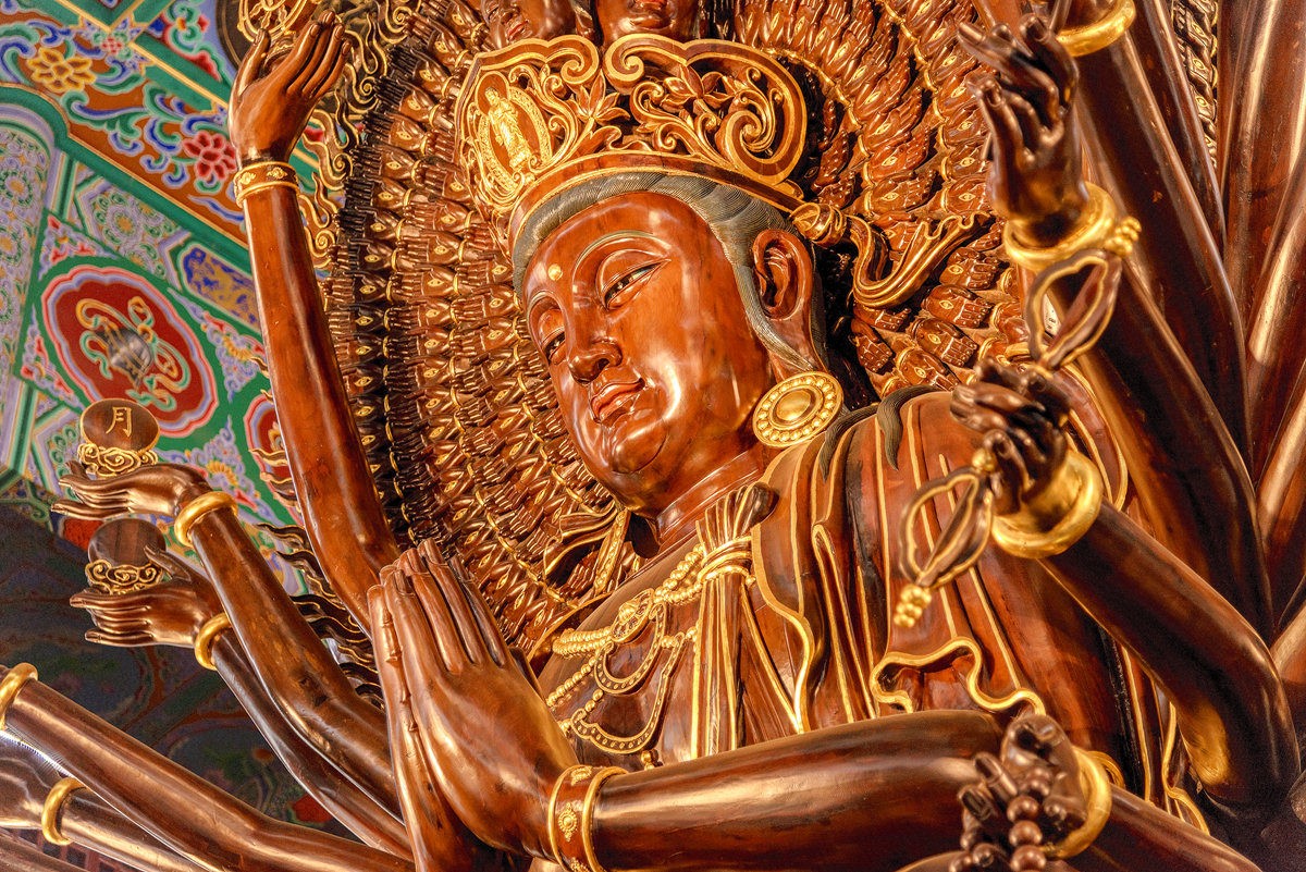 20251108172723315083.jpg MY0_8018.jpg